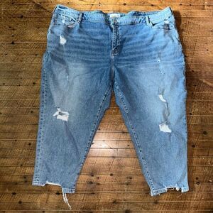 Lane Bryant distressed flex magic band boyfriend capris